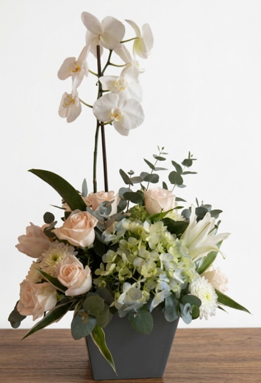ORQUIDEA ESPECIAL